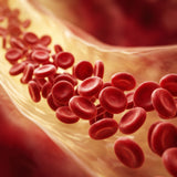Blood Sugar Support